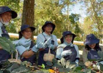 PT Pertamina Geothermal Energy Tbk (PGE) bersama para petani kopi Kamojang menggelar Panen Bersama dan Ekspor Perdana Kopi Geotermal Kamojang, Jawa Barat. (Foto: PT.PG)E