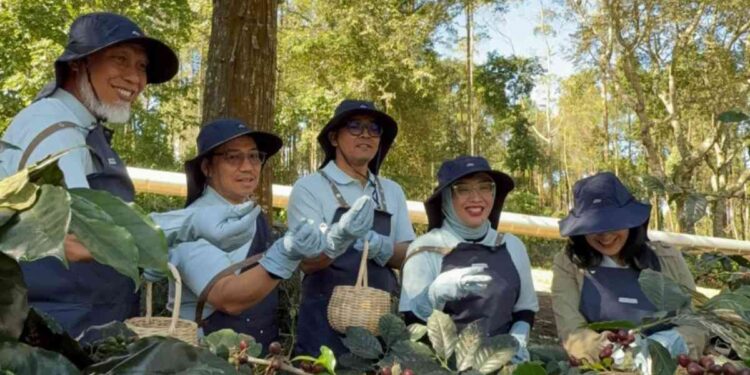 PT Pertamina Geothermal Energy Tbk (PGE) bersama para petani kopi Kamojang menggelar Panen Bersama dan Ekspor Perdana Kopi Geotermal Kamojang, Jawa Barat. (Foto: PT.PG)E