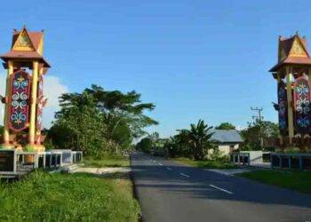 DLH Pulang Pisau Menjaga Masa Depan Lingkungan di Tanah Bumi Handep Hapakat