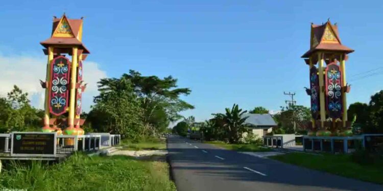 DLH Pulang Pisau Menjaga Masa Depan Lingkungan di Tanah Bumi Handep Hapakat