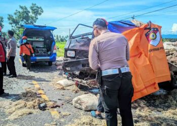Kecelakaan Maut di Jalan Daendels, Panjatan, Kulon Progo