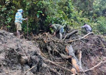 Foto : Petugas dibantu warga melakukan pencarian korban hilang akibat banjir di Kabupaten Nduga, Papua Pegunungan pada Sabtu (1/11). (BPBD Kabupaten Nduga)
