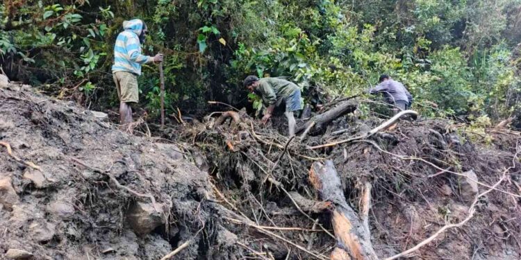 Foto : Petugas dibantu warga melakukan pencarian korban hilang akibat banjir di Kabupaten Nduga, Papua Pegunungan pada Sabtu (1/11). (BPBD Kabupaten Nduga)