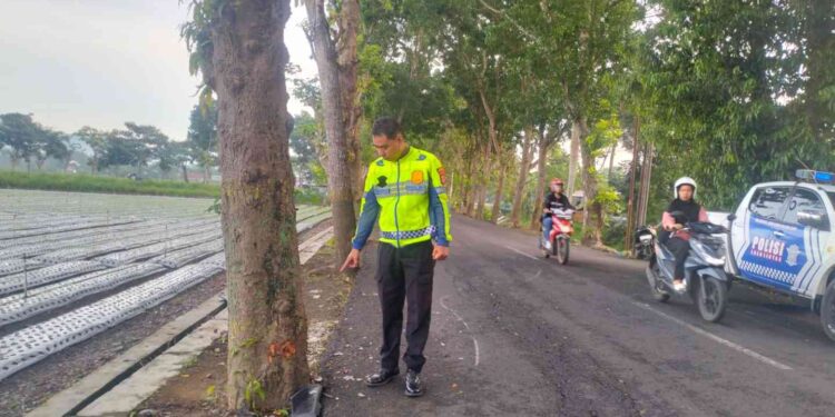 Polisi Selidiki Kendaraan Lawan dalam Kecelakaan Maut di Jalan Mandung Pengasih Kulon Progo