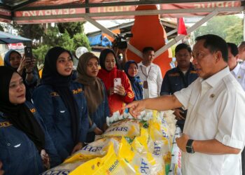 Mendagri Tito Karnavian saat meninjau distribusi beras stabilitasi pasokan dan harga pangan (SPHP) di pasar. (Foto: ANTARA FOTO)