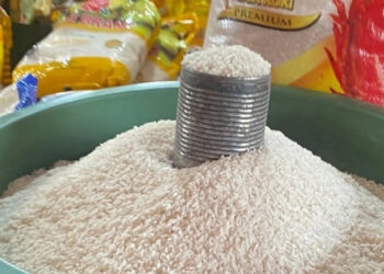 Mendagri: Beras Berperan Penting dalam Menekan Inflasi