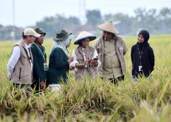 Kemkomdigi Dorong Penggunaan Teknologi Digital di Sektor Pertanian