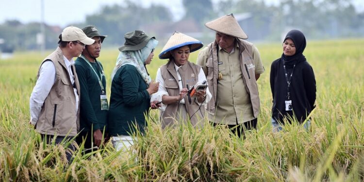 Kemkomdigi Dorong Penggunaan Teknologi Digital di Sektor Pertanian