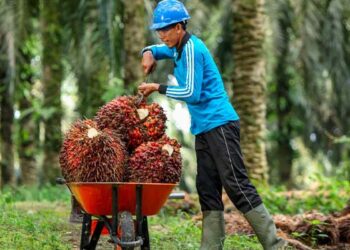 Tim Ekspedisi Patriot UGM Lakukan Penelitian di Kawasan Transmigrasi Hialu