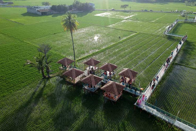 Ekonomi Gorontalo Tumbuh 5,49 Persen, Lampaui Rata-rata Nasional