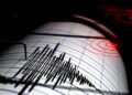 Gempa Magnitudo 4.0 Guncang Boven Digoel, Papua