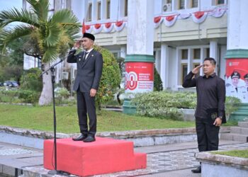 Wakil Bupati Aceh Jaya Ajak Warga Teruskan Semangat Pahlawan