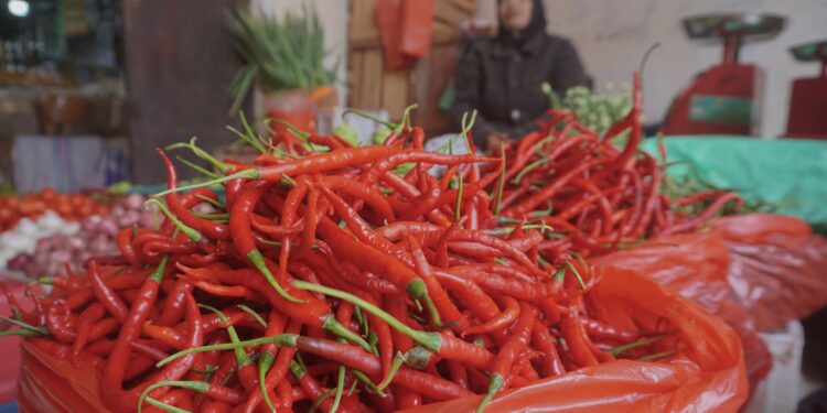 Penurunan Harga Cabai Merah di Padang Panjang Capai 13,64 Persen