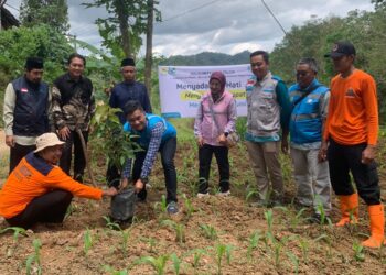 PLN Rayakan Hari Pahlawan dengan Penanaman Ribuan Pohon di Jawa Timur