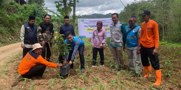 PLN Rayakan Hari Pahlawan dengan Penanaman Ribuan Pohon di Jawa Timur