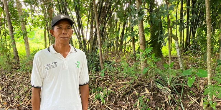 Bambu Cendani, Keunikan dari Kampung Bambu Sleman