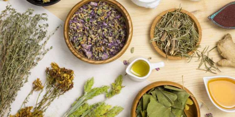 WHO Apresiasi Indonesia, Pengembangan Obat Herbal Butuh Dukungan Sektoral