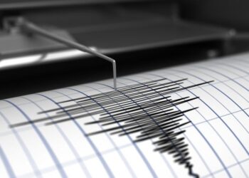 Gempa Magnitudo 4,6 Mengguncang Maluku Barat Daya