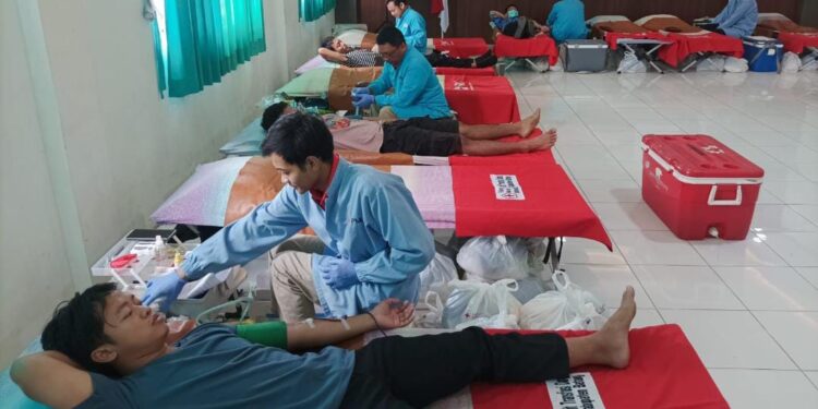 PMI Batang Pastikan Ketersediaan Darah Aman dan Siap Distribusi ke Daerah Lain