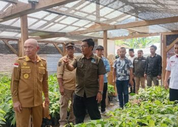 Gerakan Pohuwato Hijau Diresmikan untuk Rehabilitasi Lahan