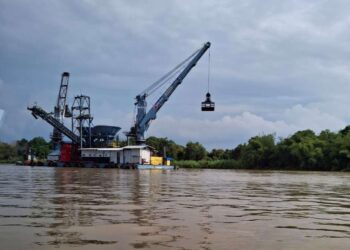 Kementerian Lingkungan Hidup Selidiki Kematian Pesut Mahakam