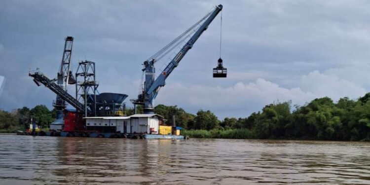 Kementerian Lingkungan Hidup Selidiki Kematian Pesut Mahakam