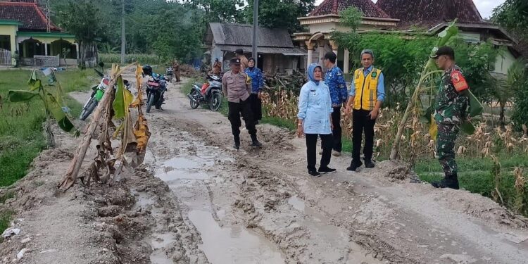 Pemkab Bojonegoro Lakukan Normalisasi Jalan di Desa Napis