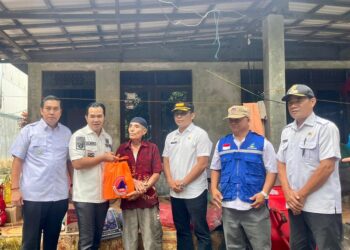 Bupati Pulang Pisau Serukan Kewaspadaan Terhadap Pohon Tumbang