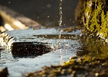 Diskusi Ilmiah Bahas Sumber Air Pegunungan dalam Industri AMDK