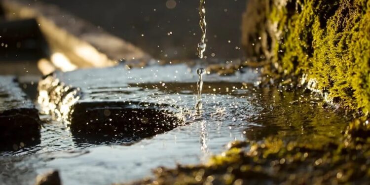 Diskusi Ilmiah Bahas Sumber Air Pegunungan dalam Industri AMDK