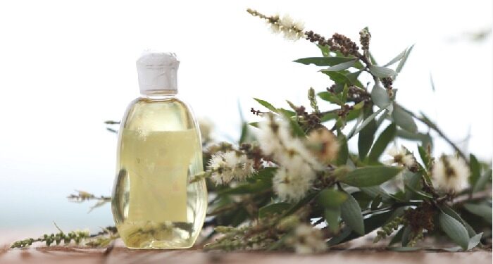 Manfaat Minyak Adas untuk Kesehatan yang Jarang Diketahui