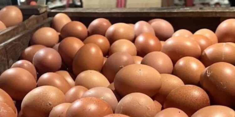 PIHPS Umumkan Harga Pangan Terkini, Cabai Rawit dan Telur Ayam Naik