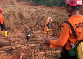 Operasi Pencarian Korban Longsor di Cilacap Libatkan Anjing Pelacak dan Alat Berat