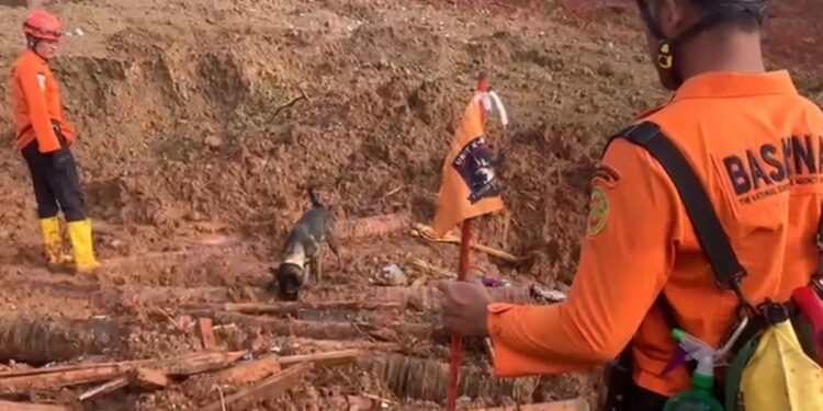 Operasi Pencarian Korban Longsor di Cilacap Libatkan Anjing Pelacak dan Alat Berat
