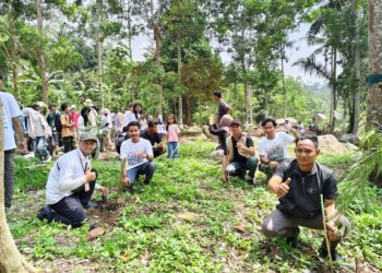 250 Mahasiswa Lampung Tanam Mangrove untuk Toleransi