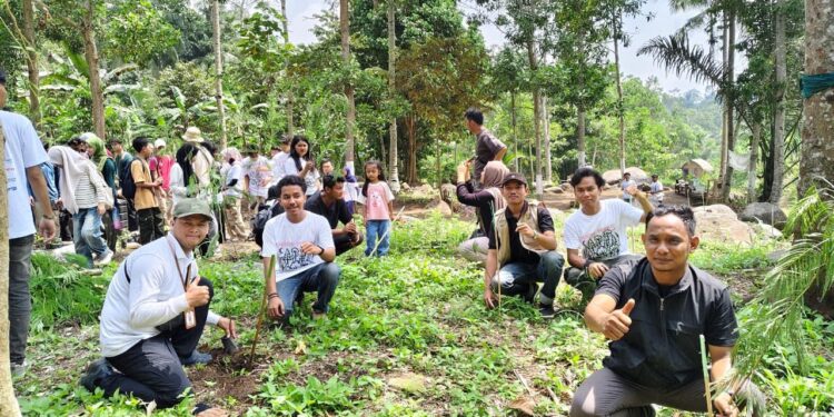 250 Mahasiswa Lampung Tanam Mangrove untuk Toleransi