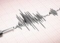 Gempa Magnitudo 3.1 Guncang Wilayah Luwu Timur, Sulawesi Selatan