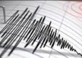 Gempa Magnitudo 4.3 Guncang Wilayah Gunung Kidul, DIY