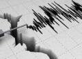 Gempa Magnitudo 3,5 Guncang Halmahera Barat, Maluku Utara