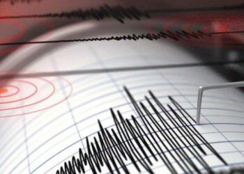 Gempa Magnitudo 3.4 Guncang Wilayah Waibakul, NTT