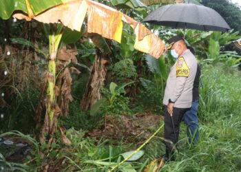 Penyelidikan Polisi atas Penemuan Mayat Tanpa Identitas di Tangerang