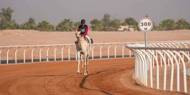 Muhammad Ikhwannudin Tampil Stabil dalam Debut Balap Unta di ISG 2025