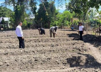 Menteri Imigrasi dan Pemasyarakatan: Upah Napi dalam Program Ketahanan Pangan Mencapai Rp700 Juta