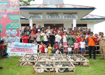 Pemkab Sumba Barat Daya Distribusikan 228 Bebek untuk Atasi Stunting di Mareda Wuni