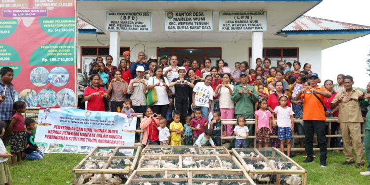 Pemkab Sumba Barat Daya Distribusikan 228 Bebek untuk Atasi Stunting di Mareda Wuni