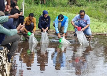 Pemkab Hulu Sungai Utara Tebar Ribuan Bibit Ikan untuk Dukung Ekonomi Lokal