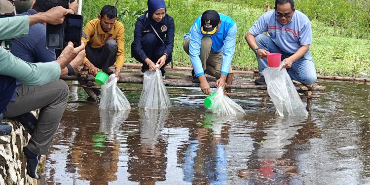 Pemkab Hulu Sungai Utara Tebar Ribuan Bibit Ikan untuk Dukung Ekonomi Lokal