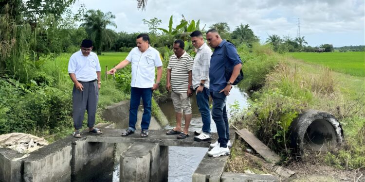 Pemkab Nagan Raya Tanggapi Keluhan Petani Terkait Irigasi Jeuram