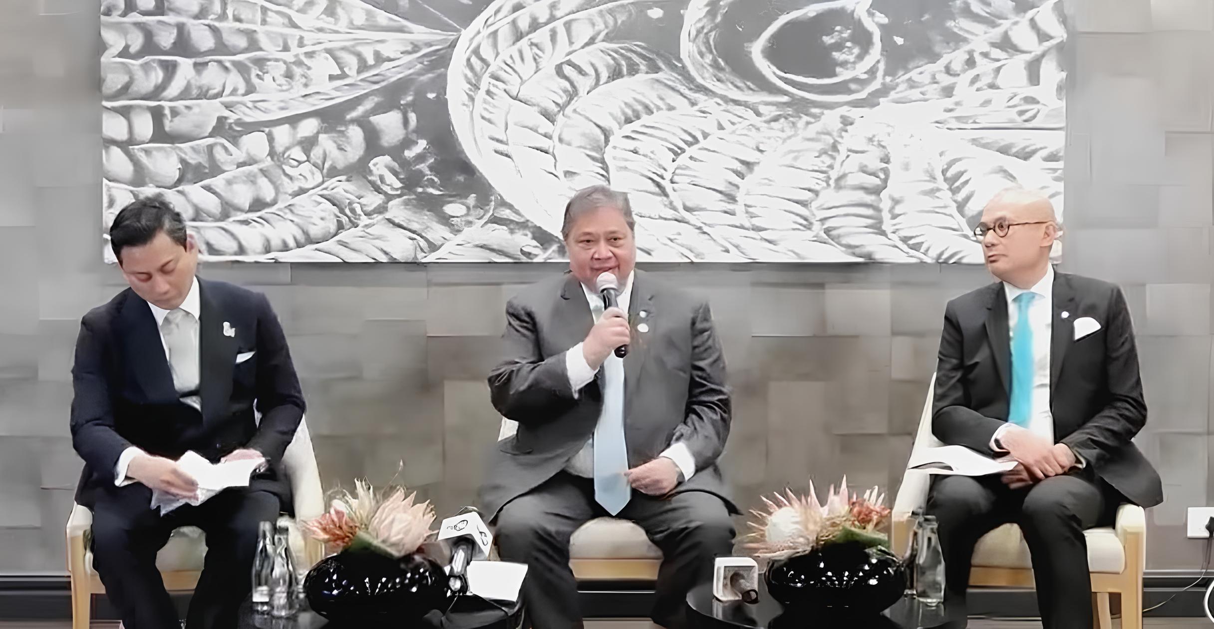 Indonesia Dorong Peran Negara Berkembang di KTT G20 Johannesburg