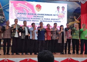 Rote Ndao Raih Peringkat Tiga dalam Upaya Penurunan Stunting di NTT